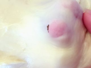 麻薯肉松蛋黄酥——详细版 